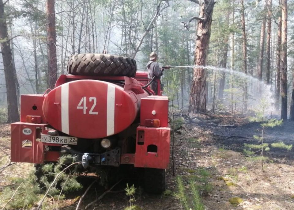 Тушение огня в лесу