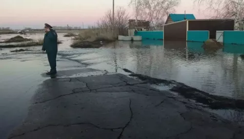 Талые воды подтопили приусадебные участки в селе под Рубцовском. Фото