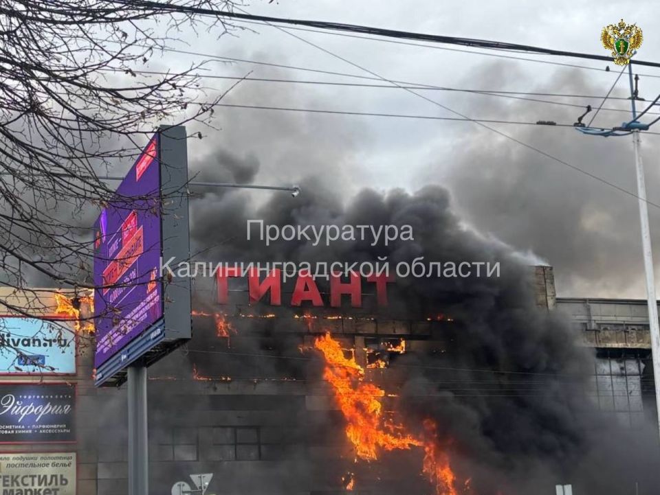 Пожар в ТЦ "Гиант" в Калининграде