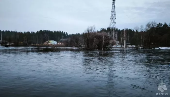 Большая вода размыла дорогу в селе Черемном в Алтайском крае
