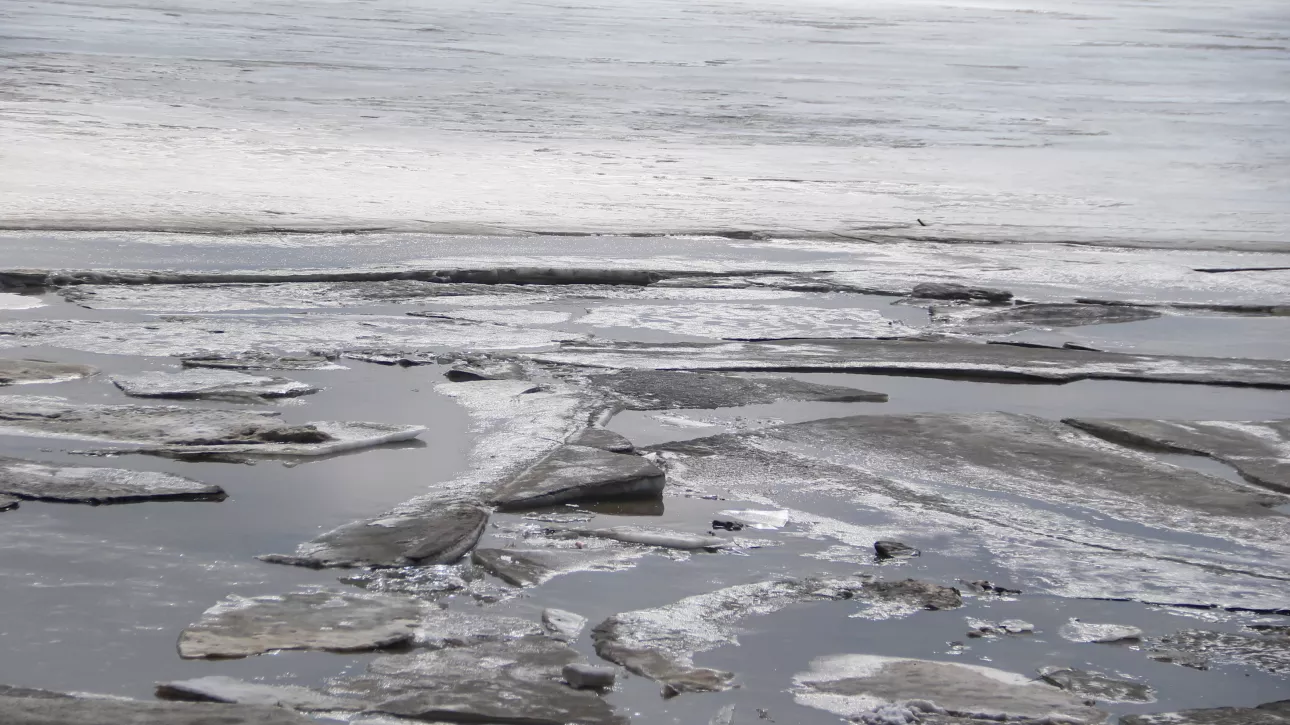 Похолодание с мокрым снегом надвигается на Алтайский край: когда ждать