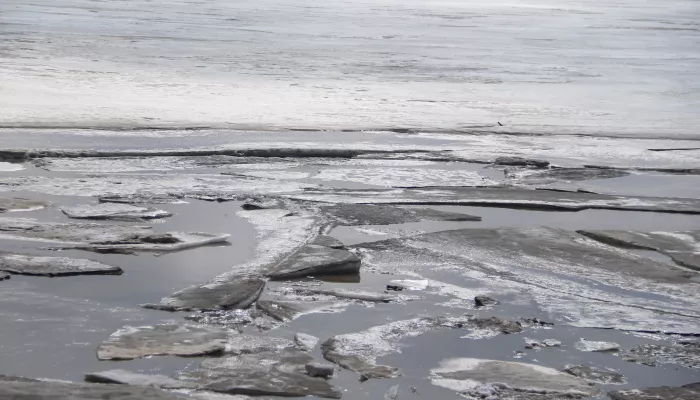 Эксперт рассказала, когда на Оби в Барнауле начнется ледоход