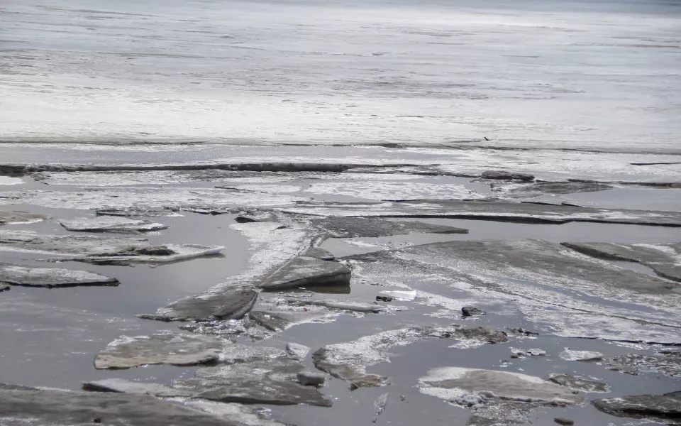 Похолодание с мокрым снегом надвигается на Алтайский край: когда ждать