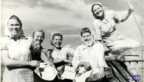 Герои земли: как проходил сельхозсезон в Алтайском крае в советские годы. Фотоархив