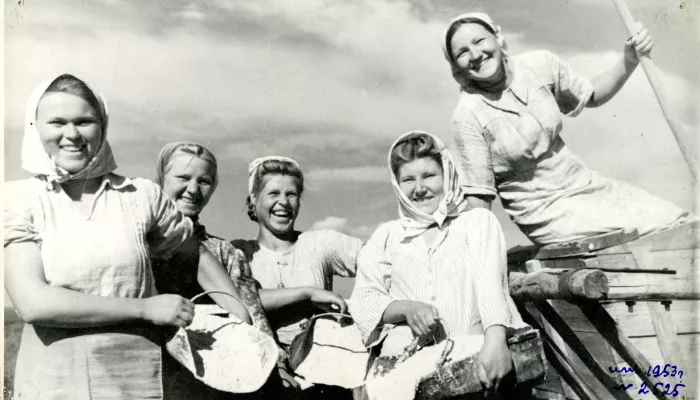 Герои земли: как проходил сельхозсезон в Алтайском крае в советские годы. Фотоархив