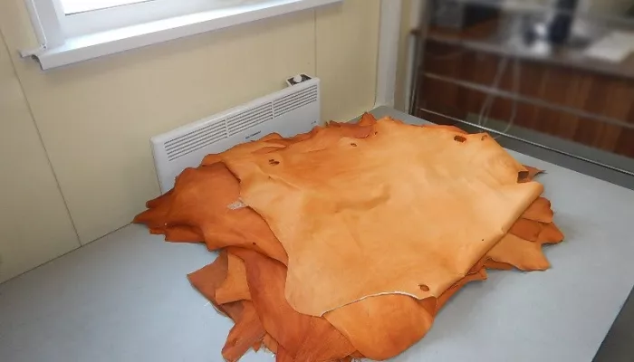 Иностранец попытался незаконно провезти в Республику Алтай 30 овечьих шкур