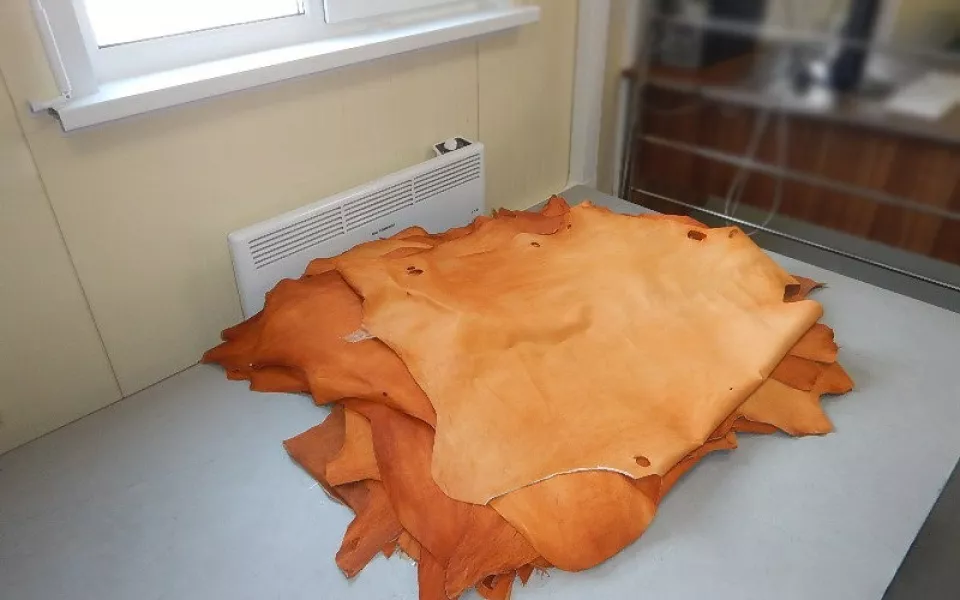 Иностранец попытался незаконно провезти в Республику Алтай 30 овечьих шкур