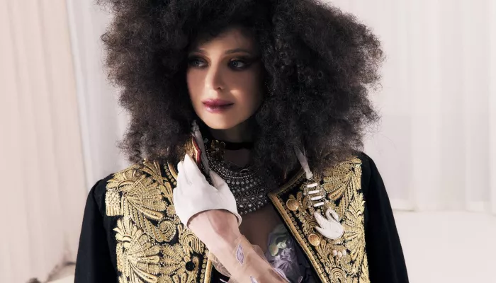 Экс-прокурор Крыма Наталья Поклонская снялась в провокационных образах. Фото