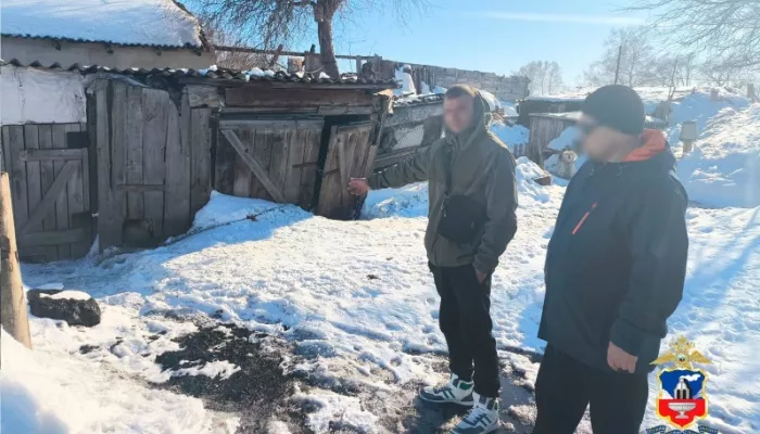 Выместил злость: житель Алтайского края с лопатой бросился на собак, одна погибла