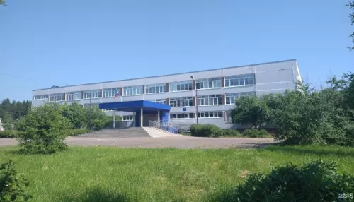 Учительница умерла после нападения у школы в Пермском крае