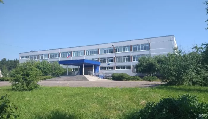 Учительница умерла после нападения у школы в Пермском крае