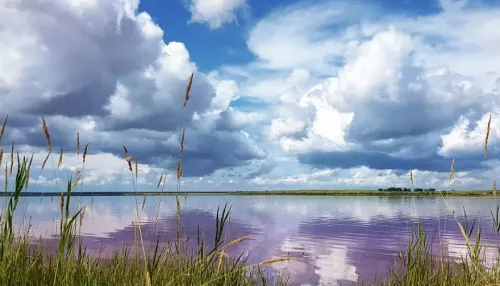 Берег известного на Алтае Малинового озера предлагают застроить. Участки уже нарезаны
