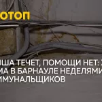 Вода, плесень и молчание УК: барнаульцы годами не могут добиться ремонта крыши