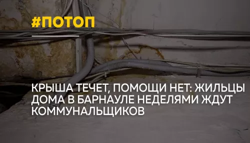 Вода, плесень и молчание УК: барнаульцы годами не могут добиться ремонта крыши