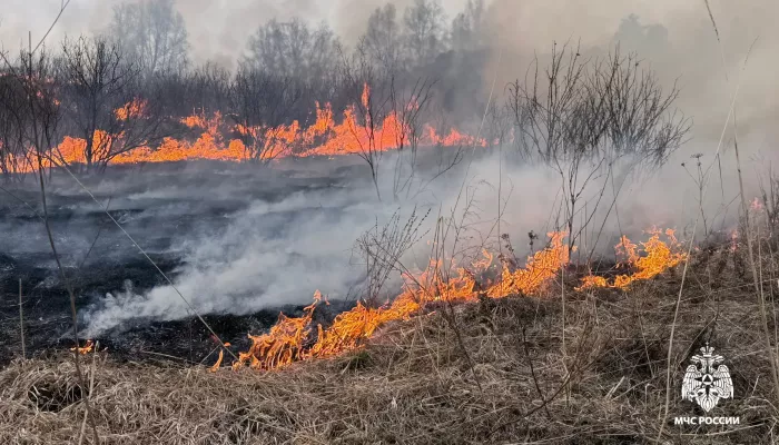 В Шебалинском районе Республики Алтай случился ландшафтный пожар