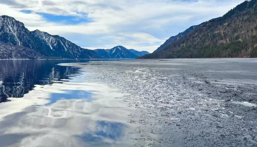 Телецкое озеро стремительно освобождается ото льда. Фото