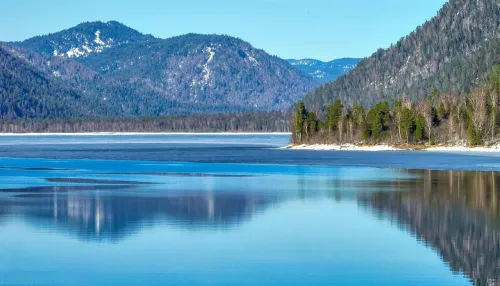В Республике Алтай предложили восстанавливать здоровье участников СВО в заповеднике