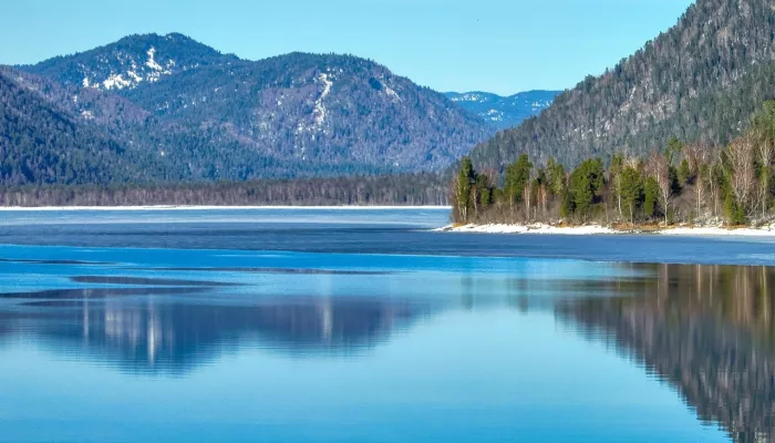 В Республике Алтай предложили восстанавливать здоровье участников СВО в заповеднике
