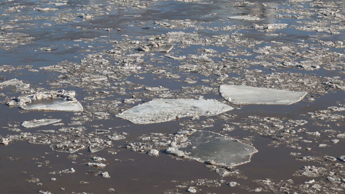 Ледоход на Оби. Апрель-2026