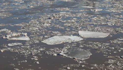 Новая неделя в Алтайском крае начнется с дождей и мокрого снега