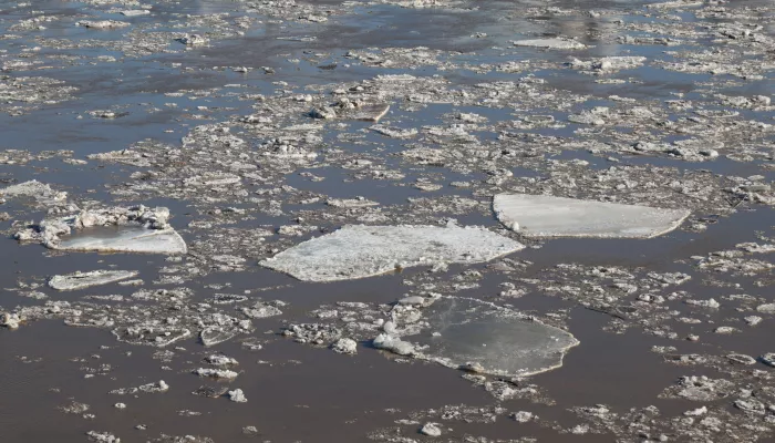 Новая неделя в Алтайском крае начнется с дождей и мокрого снега