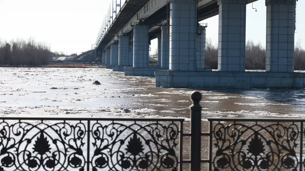 Ледоход на Оби: как главная река Алтайского края проснулась после зимы. Фоторепортаж