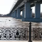 Ледоход на Оби: как главная река Алтайского края проснулась после зимы. Фоторепортаж