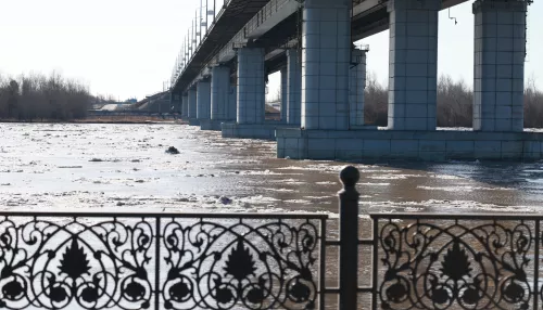 Ситуация штатная: замглавы алтайского Гидрометцентра рассказал о паводке в регионе