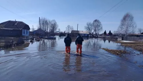 Спасатели рассказали, как проходит паводок в Алтайском крае: вода зашла в 11 домов
