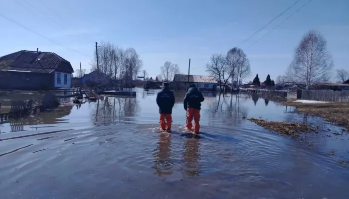 Спасатели рассказали, как проходит паводок в Алтайском крае: вода зашла в 11 домов