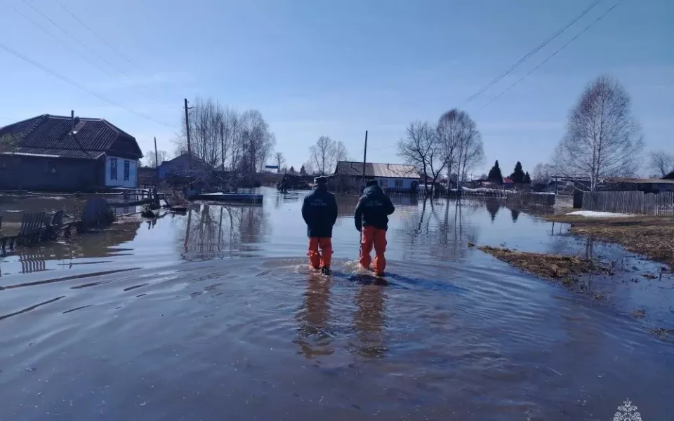 Спасатели рассказали, как проходит паводок в Алтайском крае: вода зашла в 11 домов