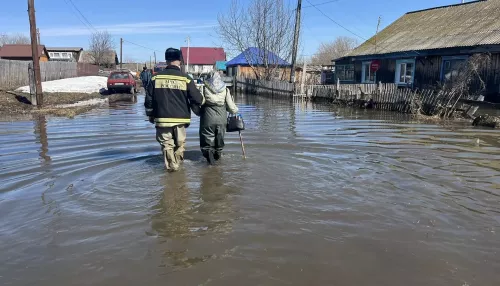 Подтопило 142 дома: как проходит первая волна паводка в Алтайском крае
