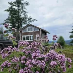 Коттедж в закрытом поселке с живущей на участке лаской продают в Горном Алтае. Фото