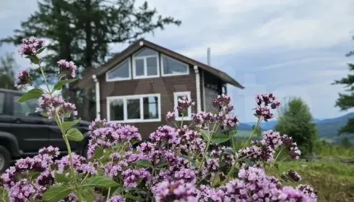 Коттедж в закрытом поселке с живущей на участке лаской продают в Горном Алтае. Фото