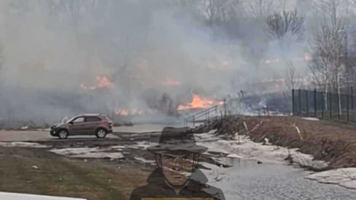 Возгорание травы в Новоалтайске