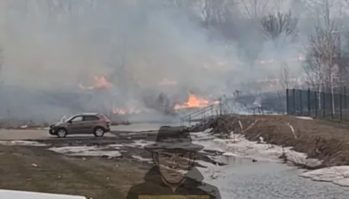 Сухая трава загорелась у детского сада в Новоалтайске