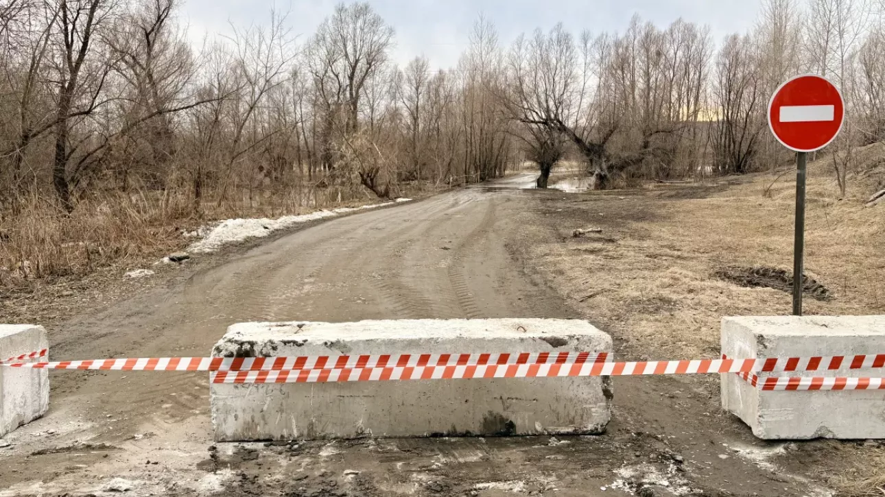 В барнаульском Затоне запретили проезд на остров Шубинский