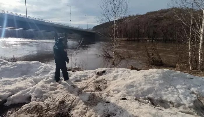 Подтоплены 66 домов: в МЧС рассказали о ситуации с паводком в Алтайском крае