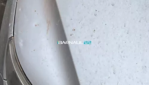 Куски фасада рухнули на автомобиль в Барнауле. Фото