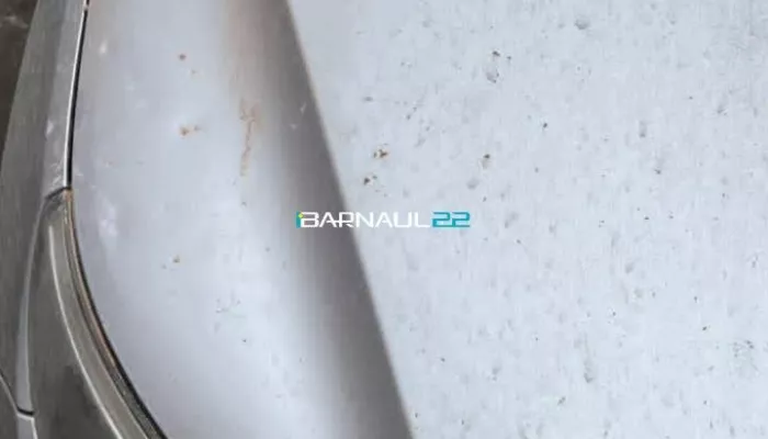 Куски фасада рухнули на автомобиль в Барнауле. Фото