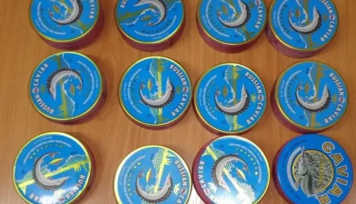 В Алтайском крае осудили контрабандистов за попытку вывоза черной икры