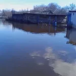 Жители Алтайского края столкнулись с разрушительными последствиями паводка
