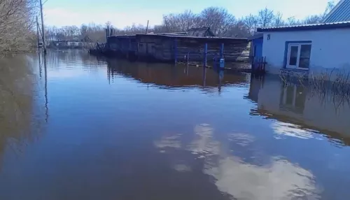 Жители Алтайского края столкнулись с разрушительными последствиями паводка