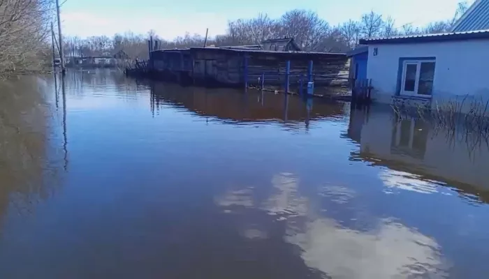 Жители Алтайского края столкнулись с разрушительными последствиями паводка