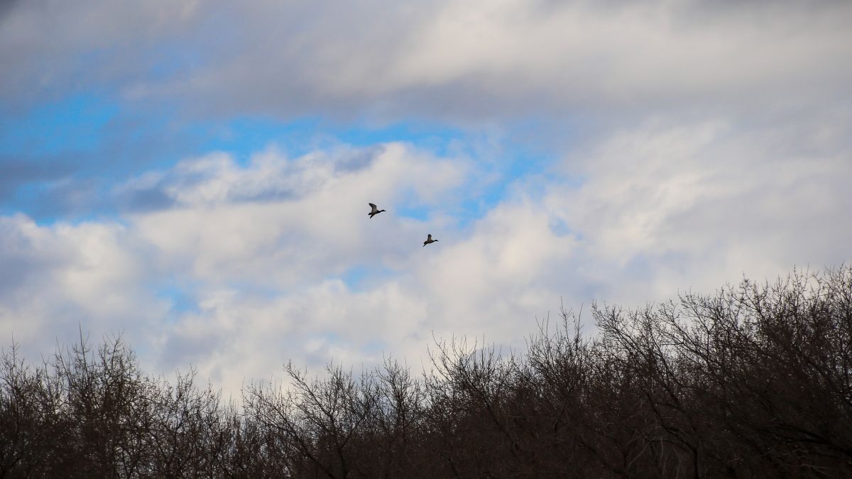 Озеро на Гущина. Апрель 2026 года