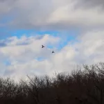 Резкое похолодание и дожди с мокрым снегом придут в Алтайский край