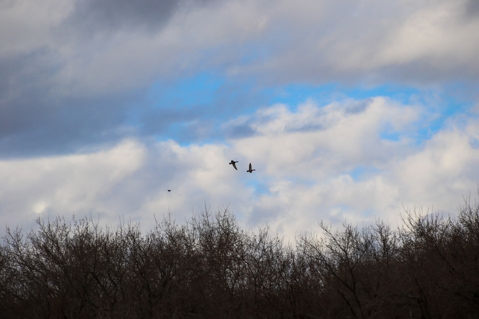 Апрель. Весна. Погода.