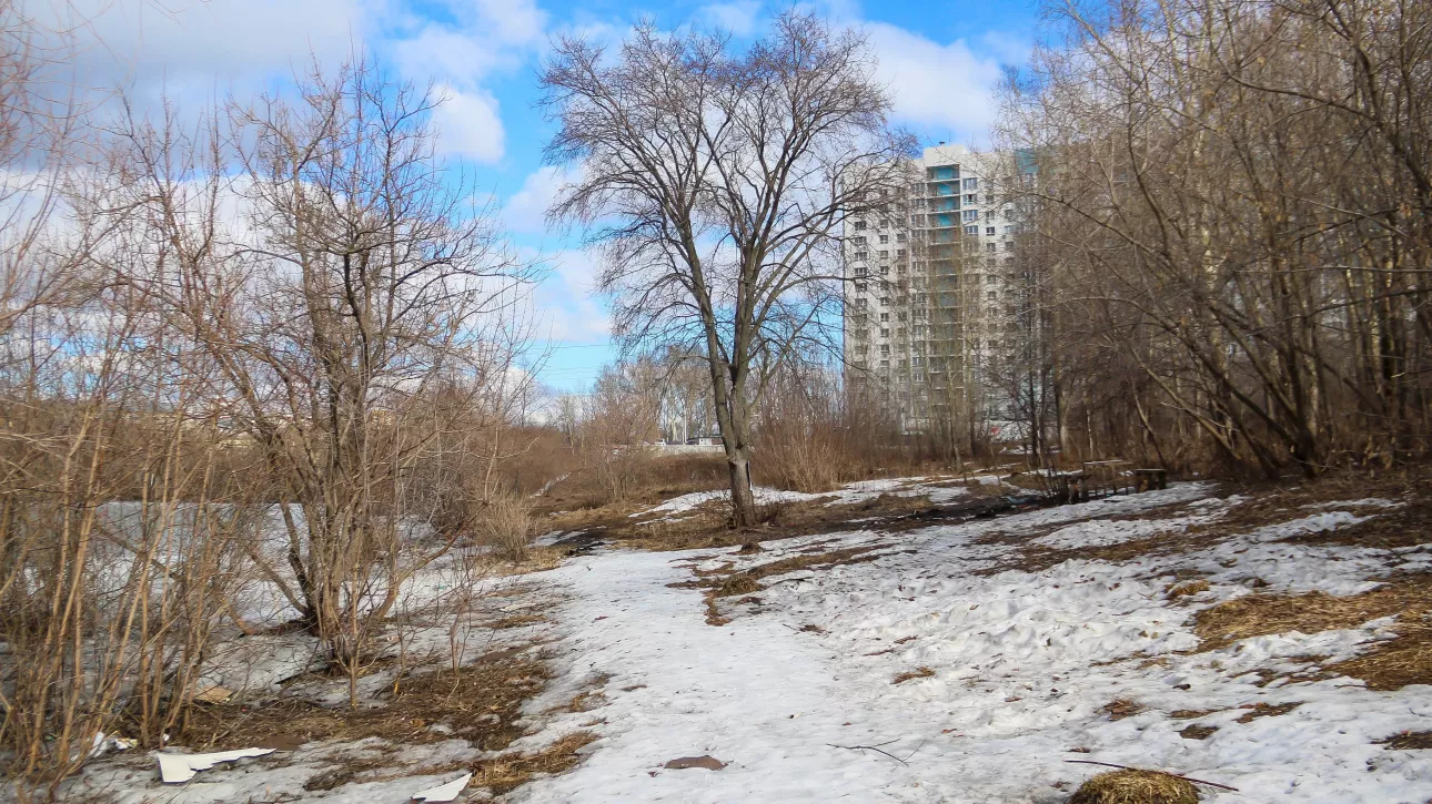 Лед и пернатые разведчики. Как просыпается озеро с уточками в новостройках Барнаула