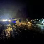 Выехала на встречку: в Республике Алтай водитель Nissan пострадала в ДТП с грузовиком