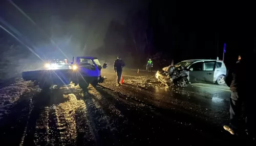 Выехала на встречку: в Республике Алтай водитель Nissan пострадала в ДТП с грузовиком